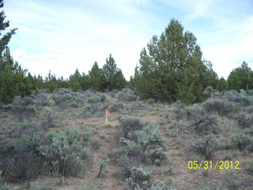 PropertyLineDWEndStakes_0577