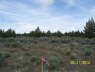 PropertyLineDWStakes1_0575