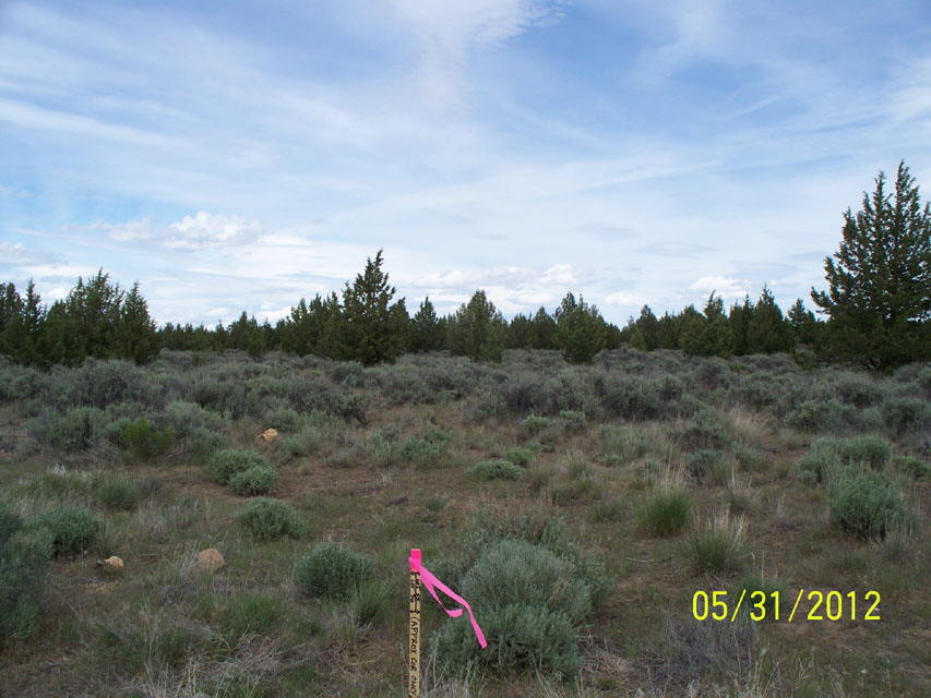 PropertyLineDWStakes1_0575