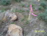PropertyLineRoadStake_0576