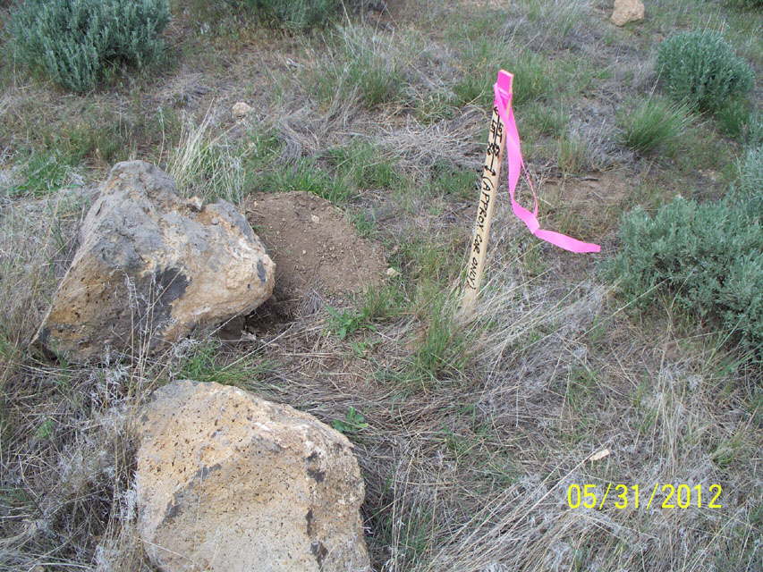 PropertyLineRoadStake_0576