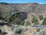 SCT0417_N44-46071_W121-32879