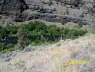 SCT0419_N44-45650_W121-32779