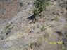 SCT0429_N44-45880_W121-32899