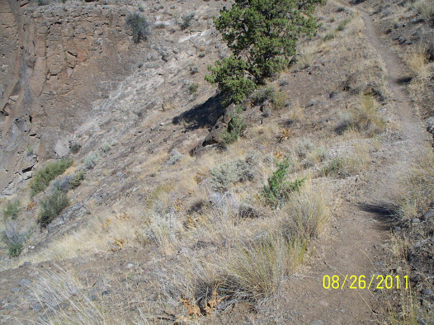 SCT0429_N44-45880_W121-32899