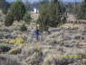 Septic_LeechField_0811