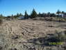 Septic_LeechField_0863