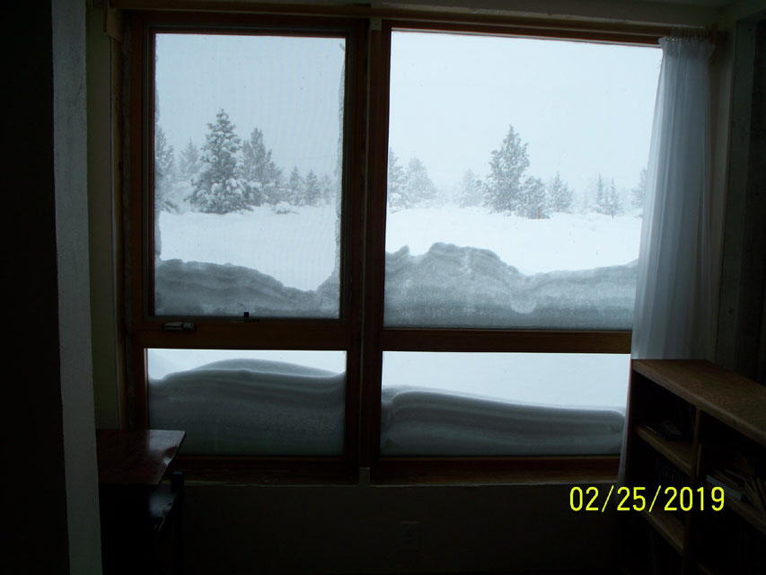 Snowfall_2834