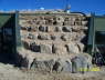 Terracing_2966