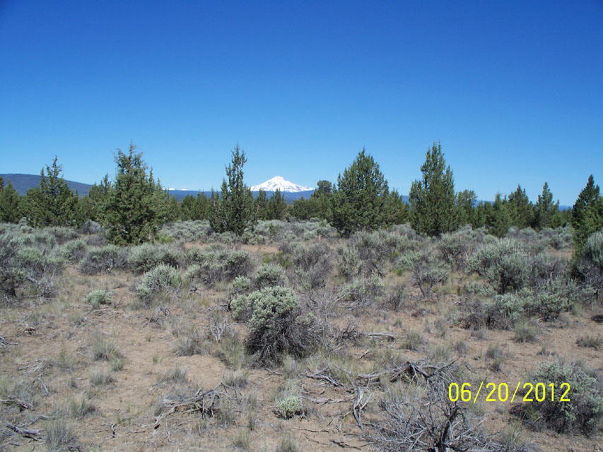 ViewFrontDoorApprox_0607